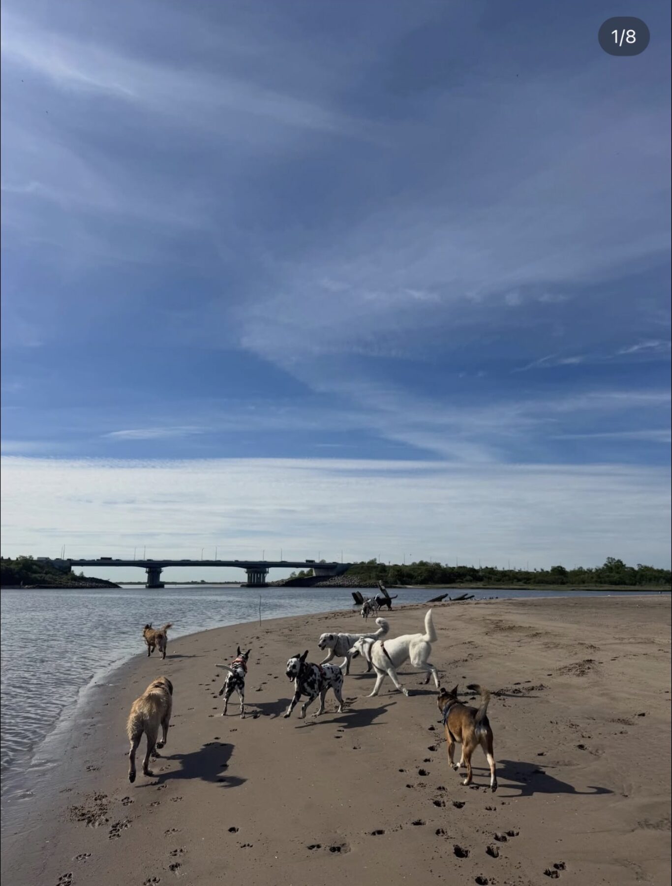The Camp Barrk pack on an adventure