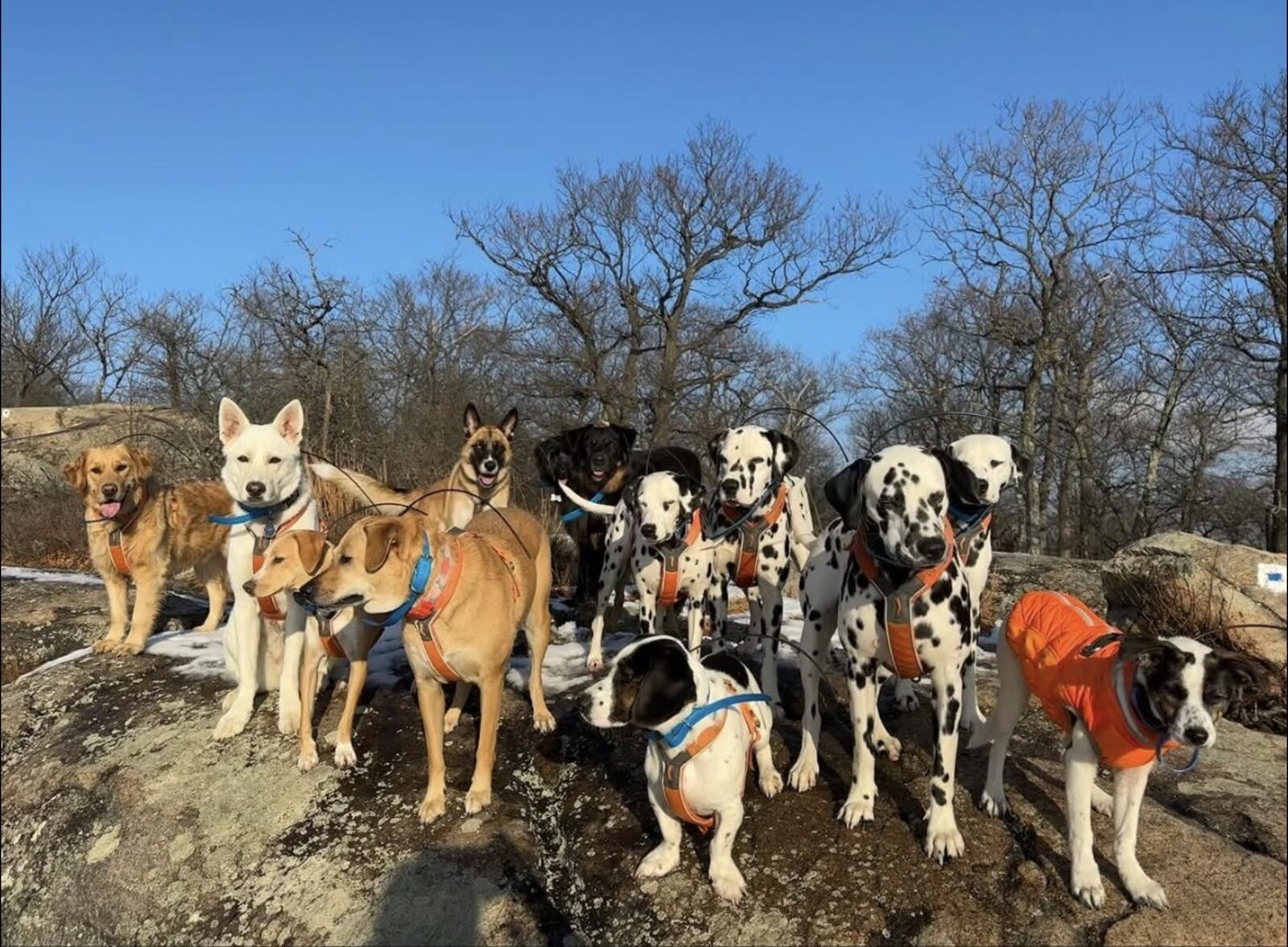 The Camp Barrk pack
